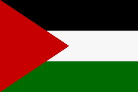Palesttinian
              Flag